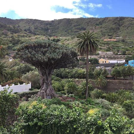 #Ocean View Studio #Wifi Icod De Los Vinos Eksteriør billede